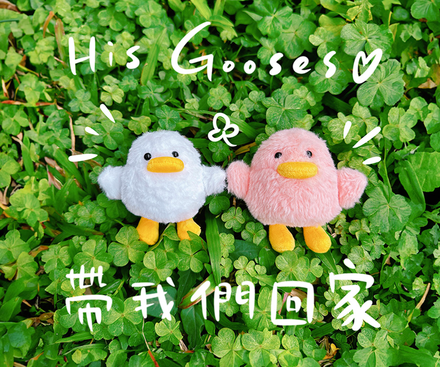 奉獻-小鵝奉獻_大方首/文章底/最新文章