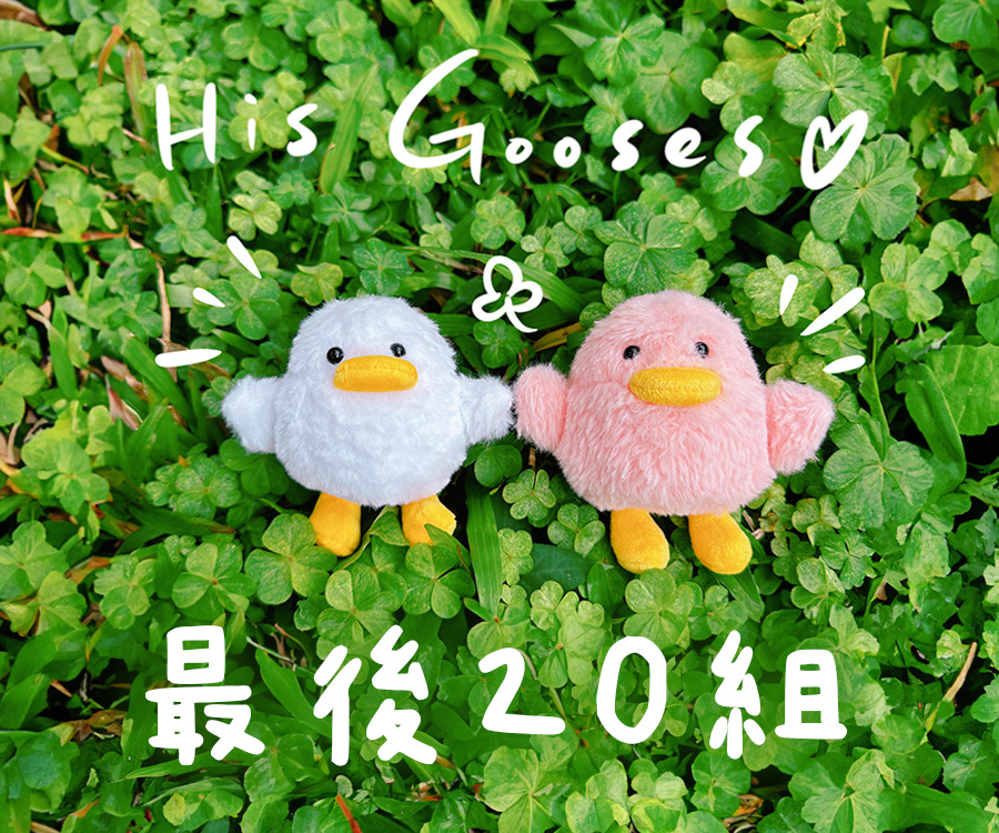 奉獻-小鵝奉獻_大方首/文章底/最新文章