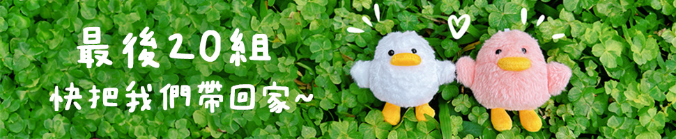 奉獻-小鵝奉獻_大方首/文章底/最新文章