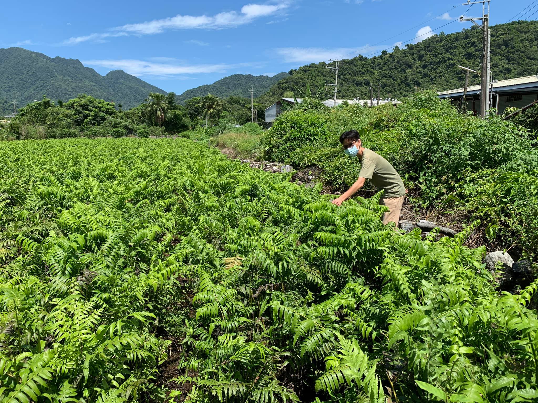 上帝賜下福爾摩沙寶島，羅韋翰以行動支持小農。(圖／受訪者提供)