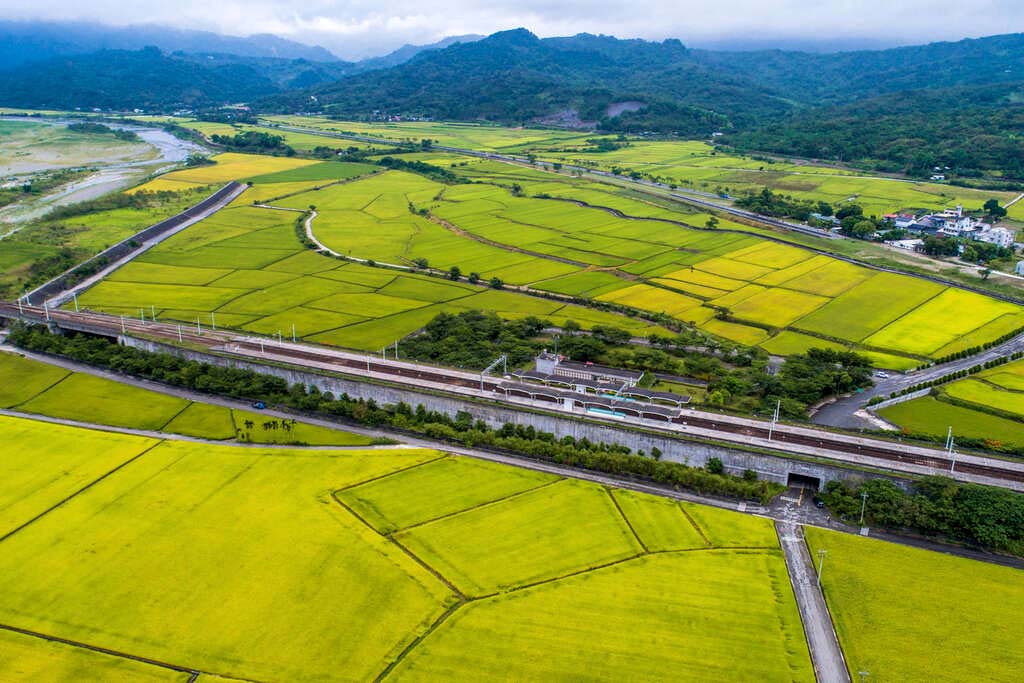 東里車站四圍的稻田（圖／花東縱谷國家風景區管理處網站）