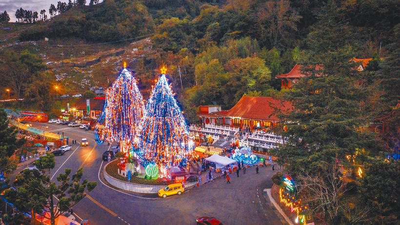 梨山賓館前高28公尺的雪松聖誕樹。（圖／參山國家風景區管理處授權提供）