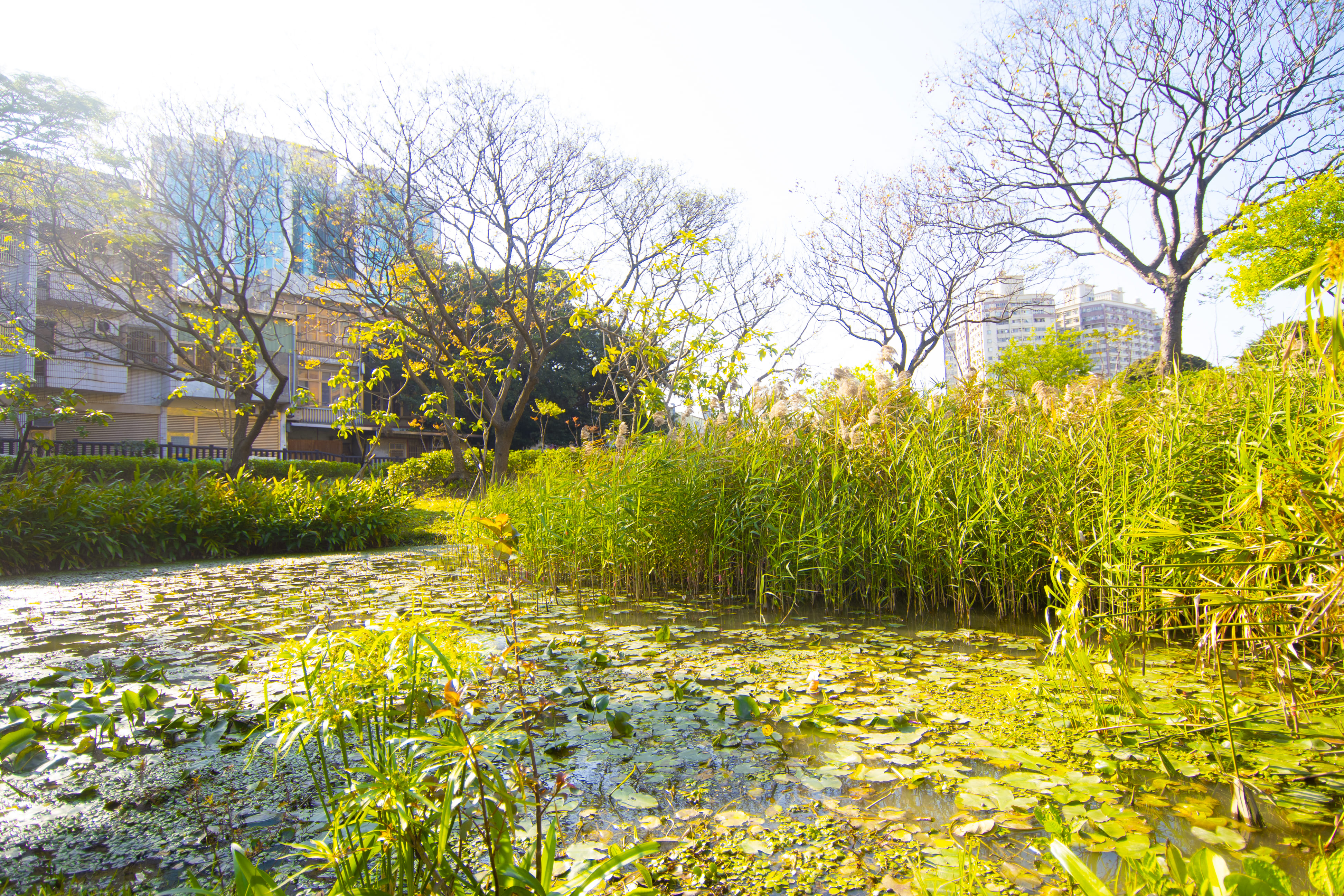 南上公園現景