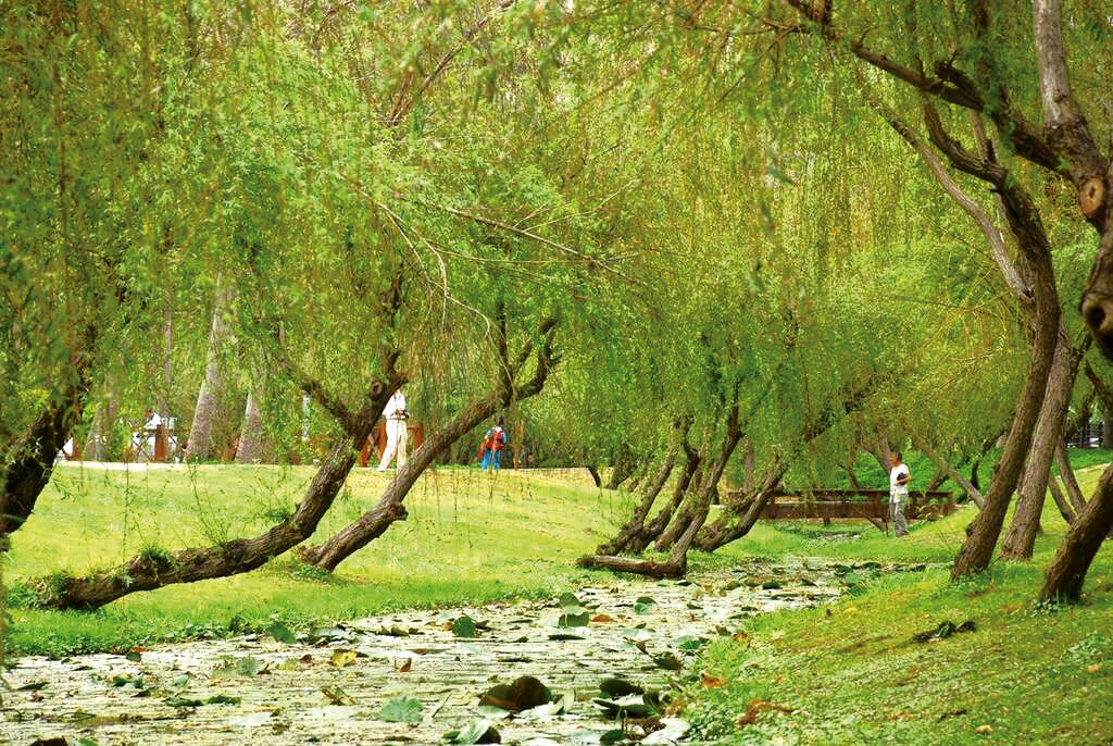 巴克禮紀念公園綠意盎然。（圖／臺南市政府觀光旅遊局台南旅遊網）