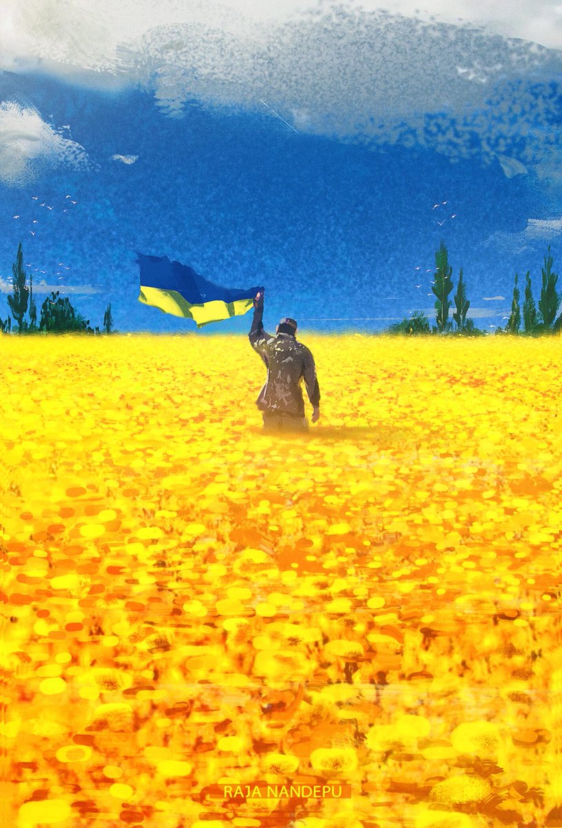 烏克蘭軍人手拿藍黃兩色國旗走在小麥田中，凝望蔚藍天空。（圖／翻攝自Twitter@AnonOpsSE）
