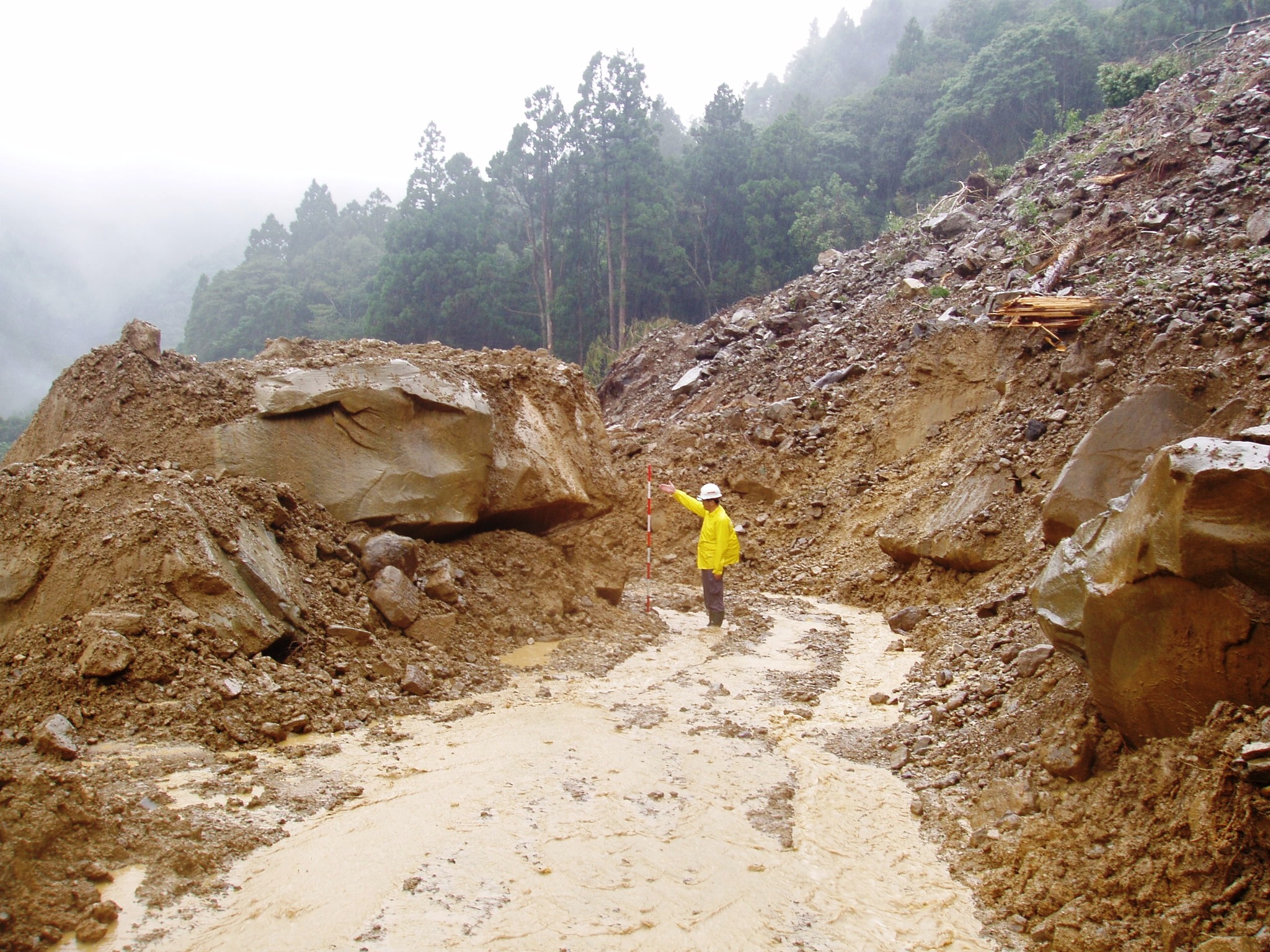 強降雨致災（公路總局提供）