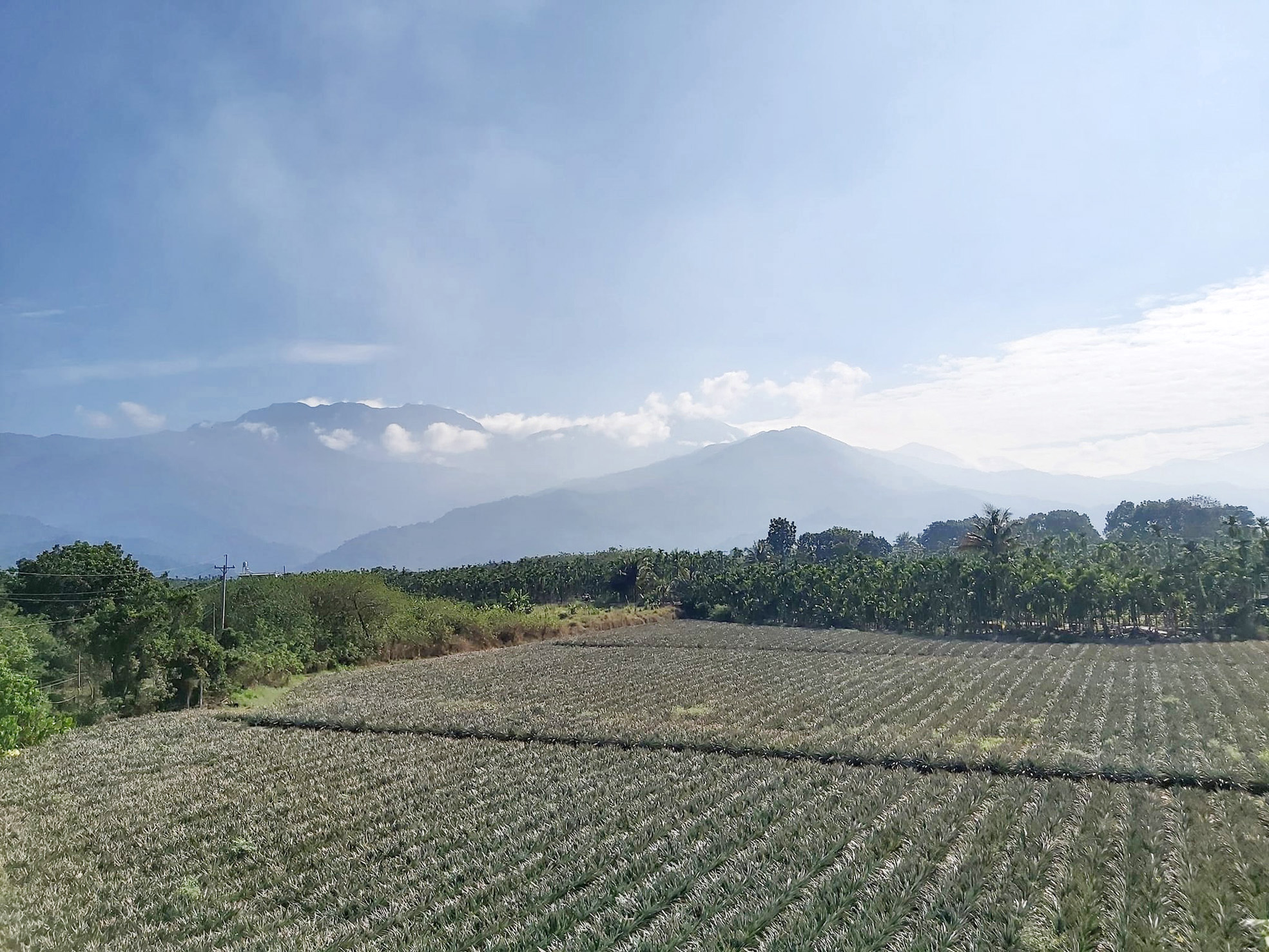 從六堆雅歌園遠眺大武山。（翻攝自FB六堆雅歌園）