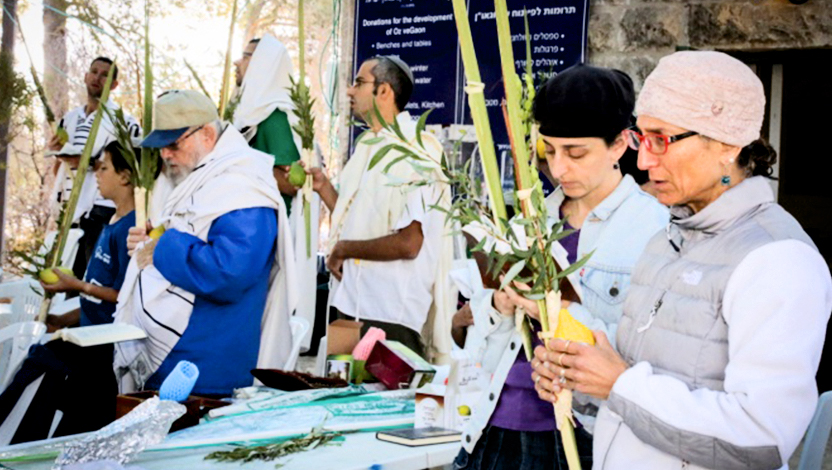猶太人一邊拿著四樣植物一邊祈禱（照片來源：Gershon Elinson/FLASH90）