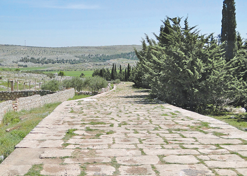 敘利亞北部的古羅馬大道遺跡。（來源維基，photo by Bernard Gagnon）