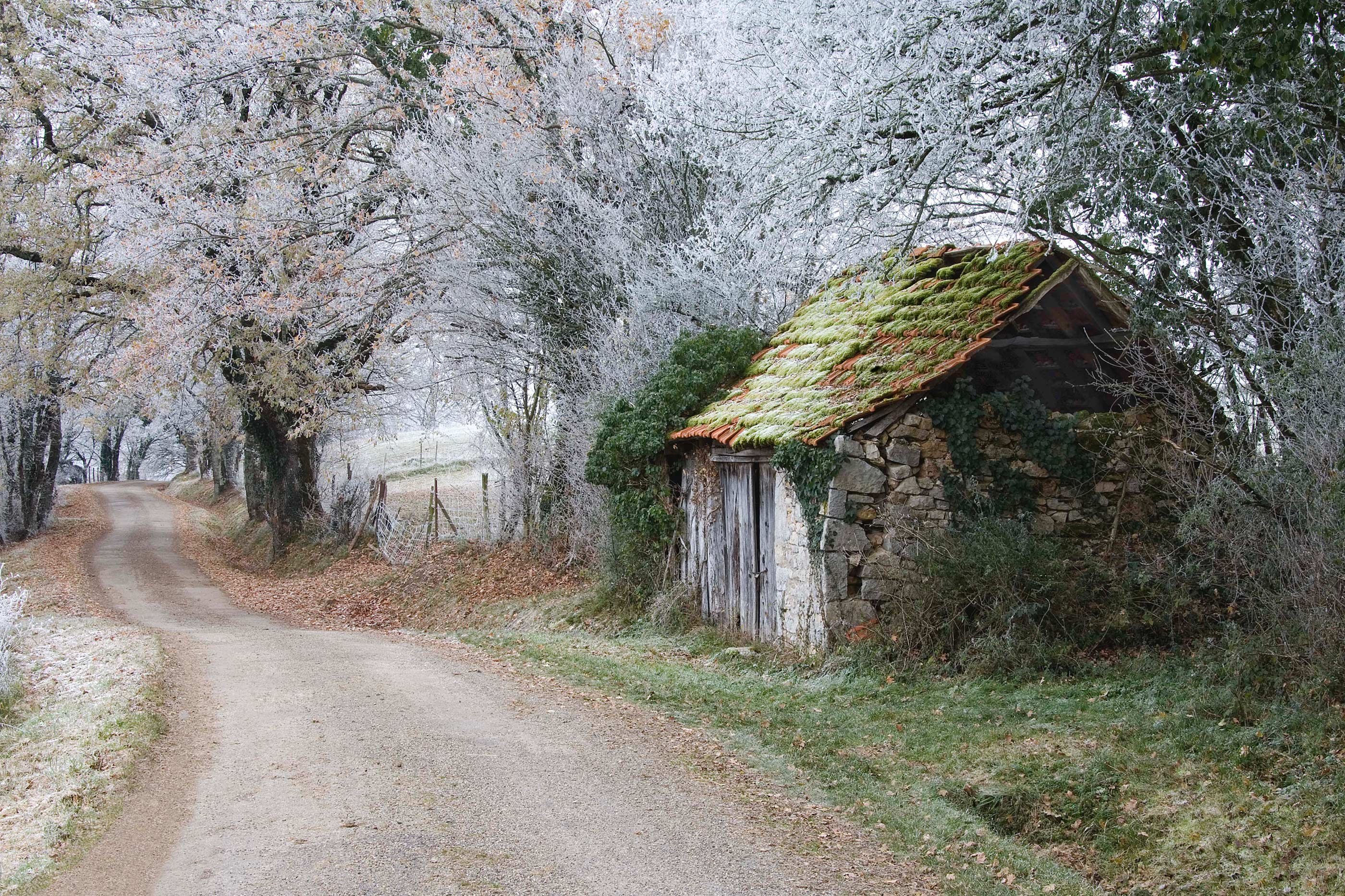 在韋特的鏡頭下，法國洛特省奧托雷的景致彷彿一幅田園畫。（圖／翻攝自rps.org）