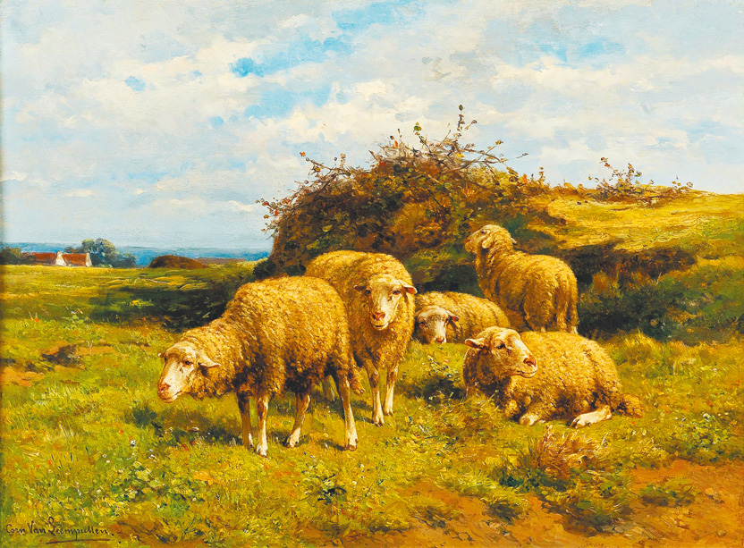 "Sheep in a meadow", by Cornelis Van Leemputten