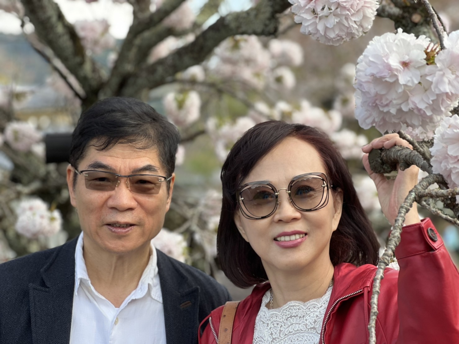 陳曉虹和先生在日本賞櫻花。(圖/陳曉虹提供)