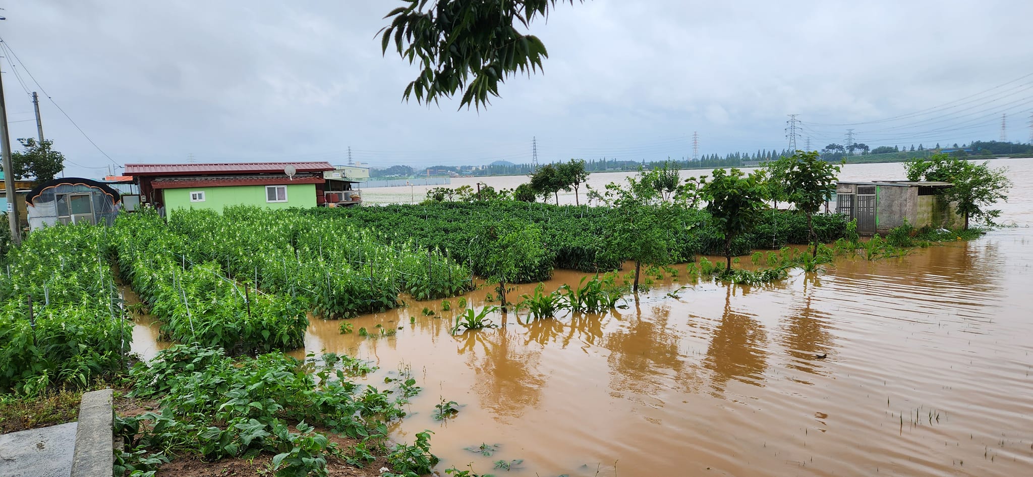 全羅北道完州郡三禮和益山市月城地區因暴雨而遭遇洪患。（圖／翻攝自FB@BongshikHong）