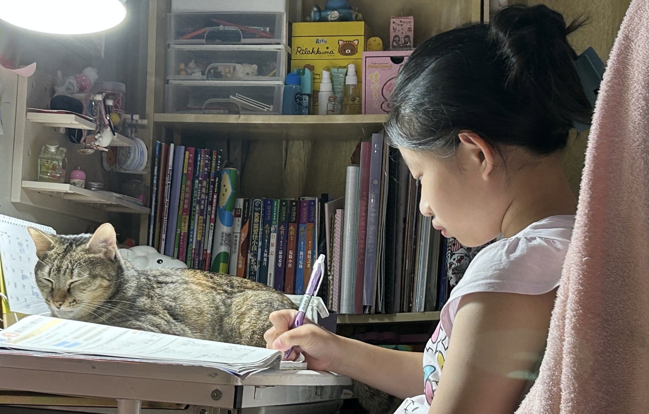 詹小妹讀書時，貓在一旁陪伴。