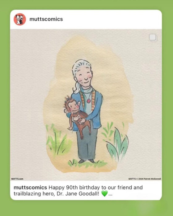 為慶祝珍古德90歲生日畫的漫畫。（圖／翻攝自IG@janegoodallinst）